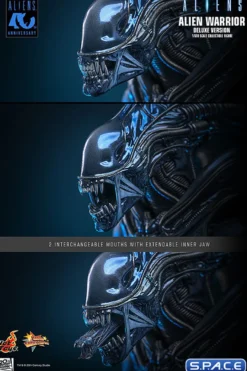 1/6 Scale Alien Warrior Deluxe Version Movie Masterpiece MMS899