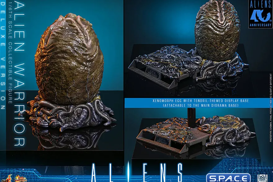 1/6 Scale Alien Warrior Deluxe Version Movie Masterpiece MMS899