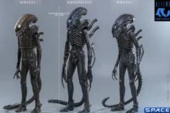 1/6 Scale Alien Warrior Deluxe Version Movie Masterpiece MMS899