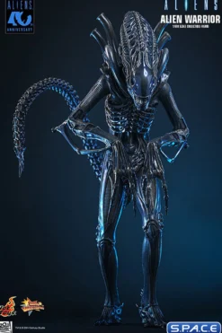 1/6 Scale Alien Warrior Movie Masterpiece MMS898