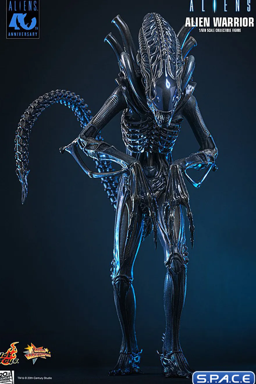 1/6 Scale Alien Warrior Movie Masterpiece MMS898