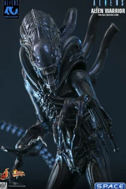 1/6 Scale Alien Warrior Movie Masterpiece MMS898