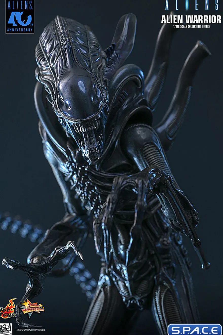 1/6 Scale Alien Warrior Movie Masterpiece MMS898