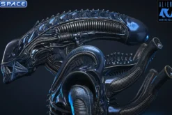 1/6 Scale Alien Warrior Movie Masterpiece MMS898