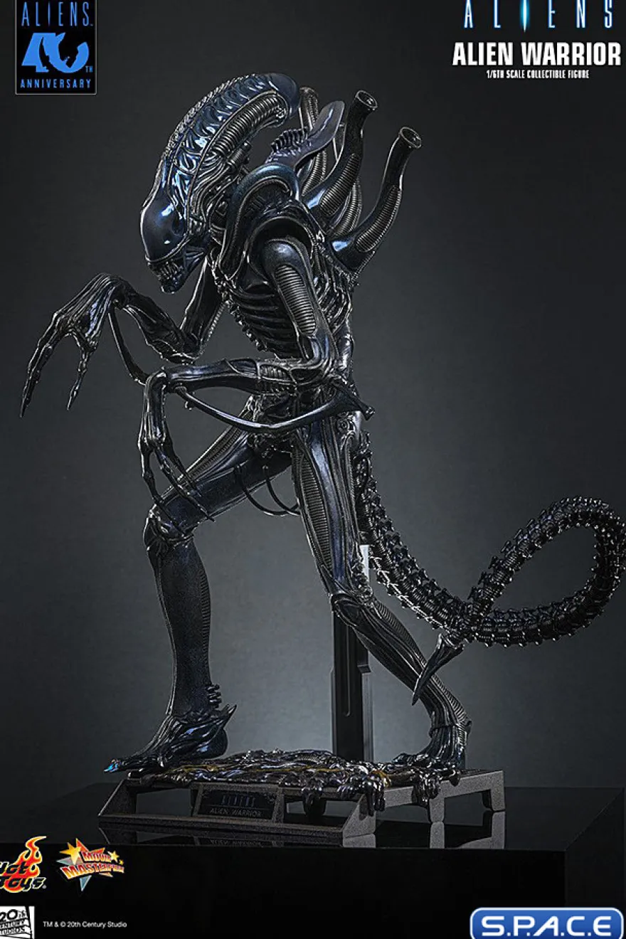 1/6 Scale Alien Warrior Movie Masterpiece MMS898