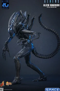 1/6 Scale Alien Warrior Movie Masterpiece MMS898