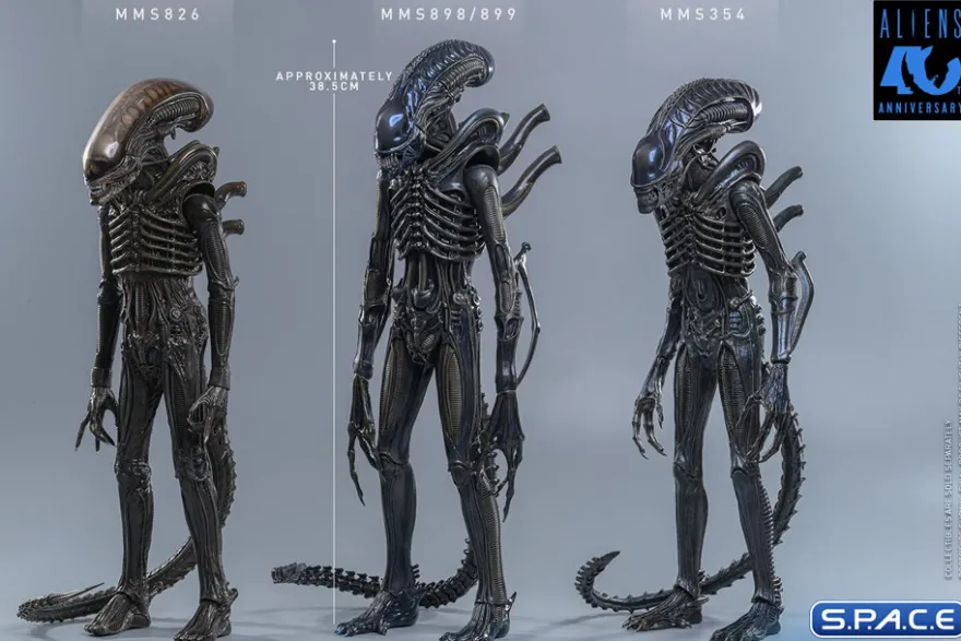 1/6 Scale Alien Warrior Movie Masterpiece MMS898