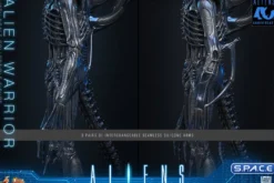 1/6 Scale Alien Warrior Movie Masterpiece MMS898