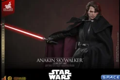 1/6 Scale Anakin Skywalker Concept Art Version