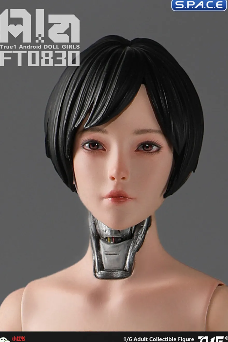 1/6 Scale Android Ala