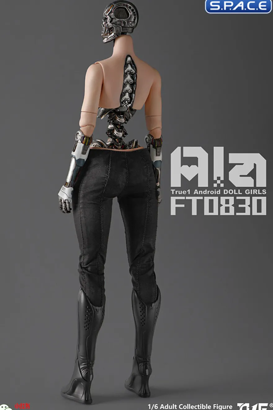 1/6 Scale Android Ala