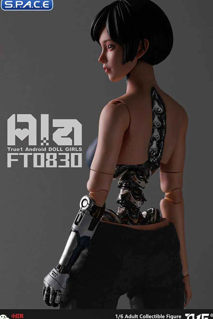1/6 Scale Android Ala