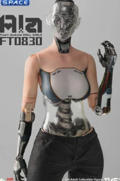 1/6 Scale Android Ala