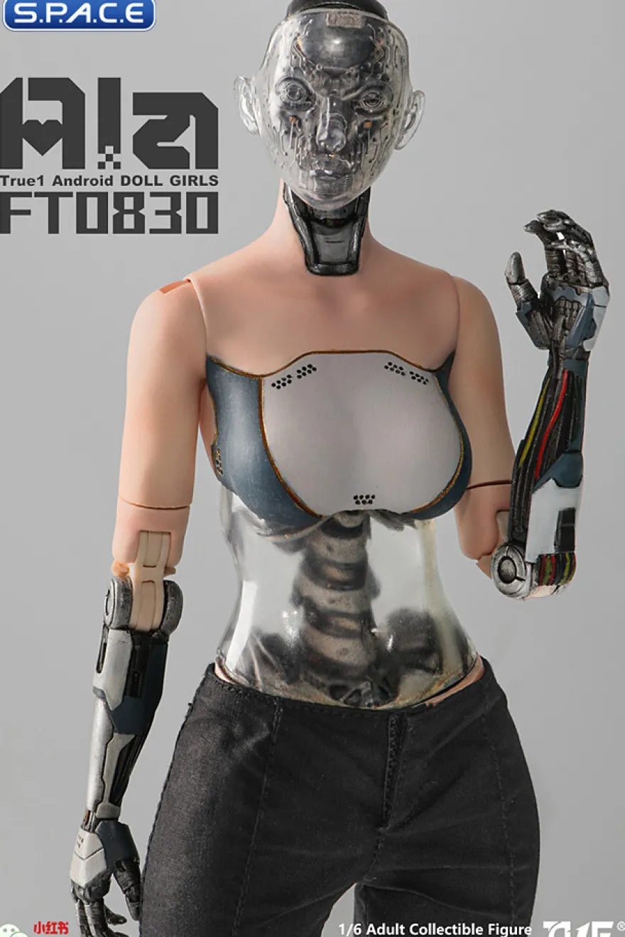 1/6 Scale Android Ala
