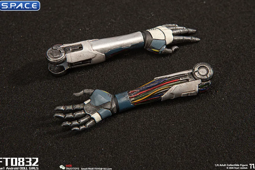 1/6 Scale Android Bill - black hair Version