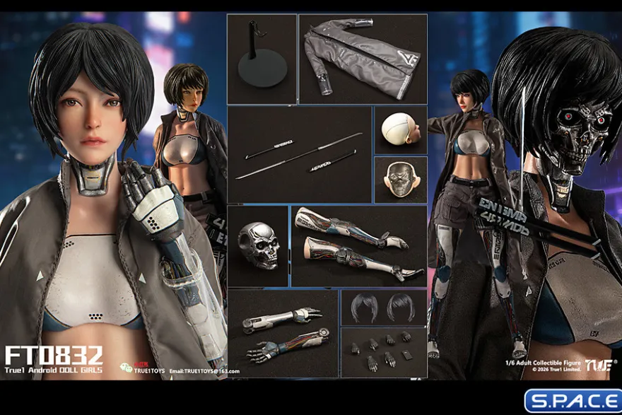 1/6 Scale Android Bill - black hair Version
