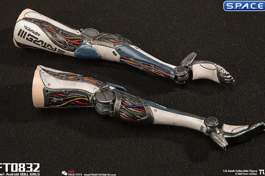 1/6 Scale Android Bill - black hair Version