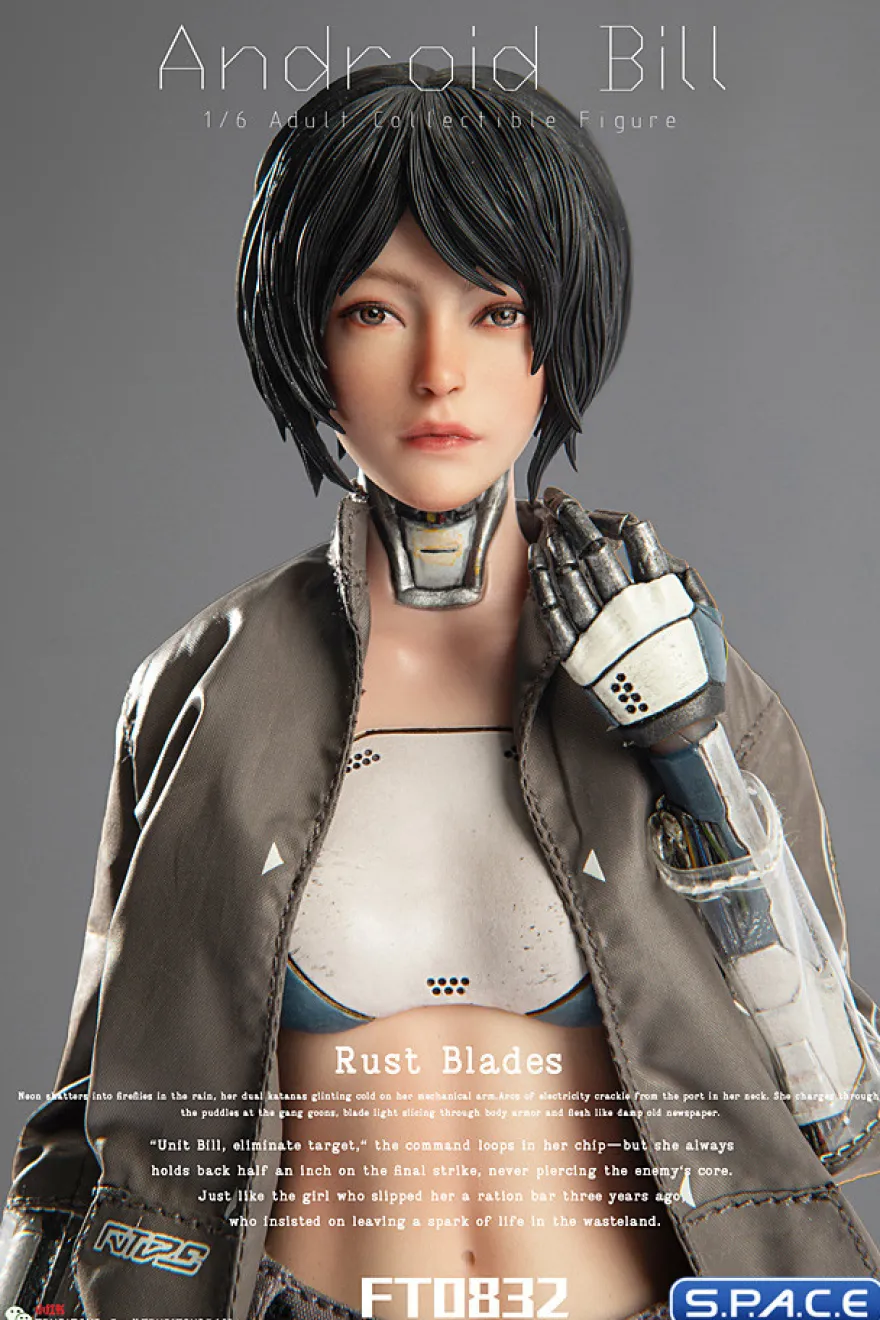 1/6 Scale Android Bill - black hair Version