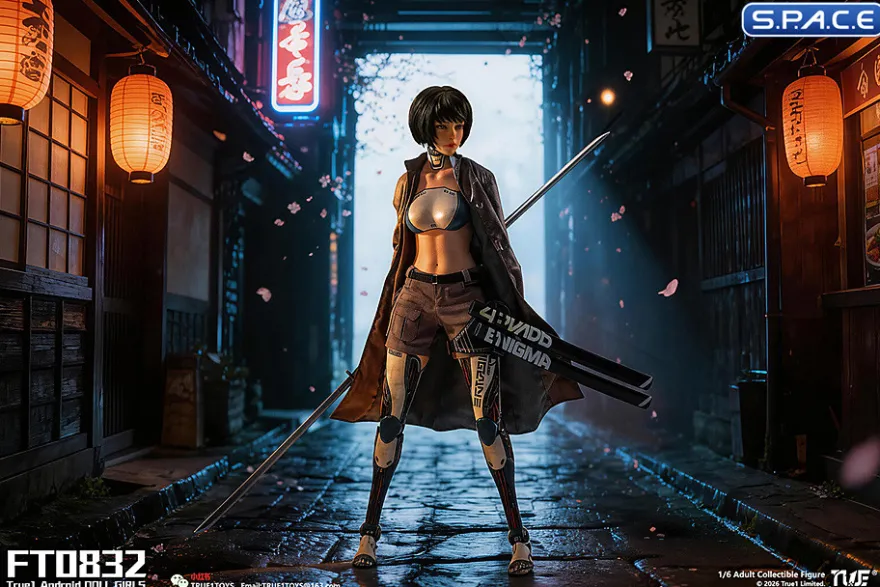 1/6 Scale Android Bill - black hair Version
