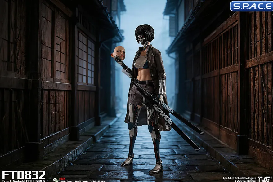 1/6 Scale Android Bill - black hair Version