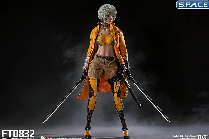1/6 Scale Android Bill - white hair Version