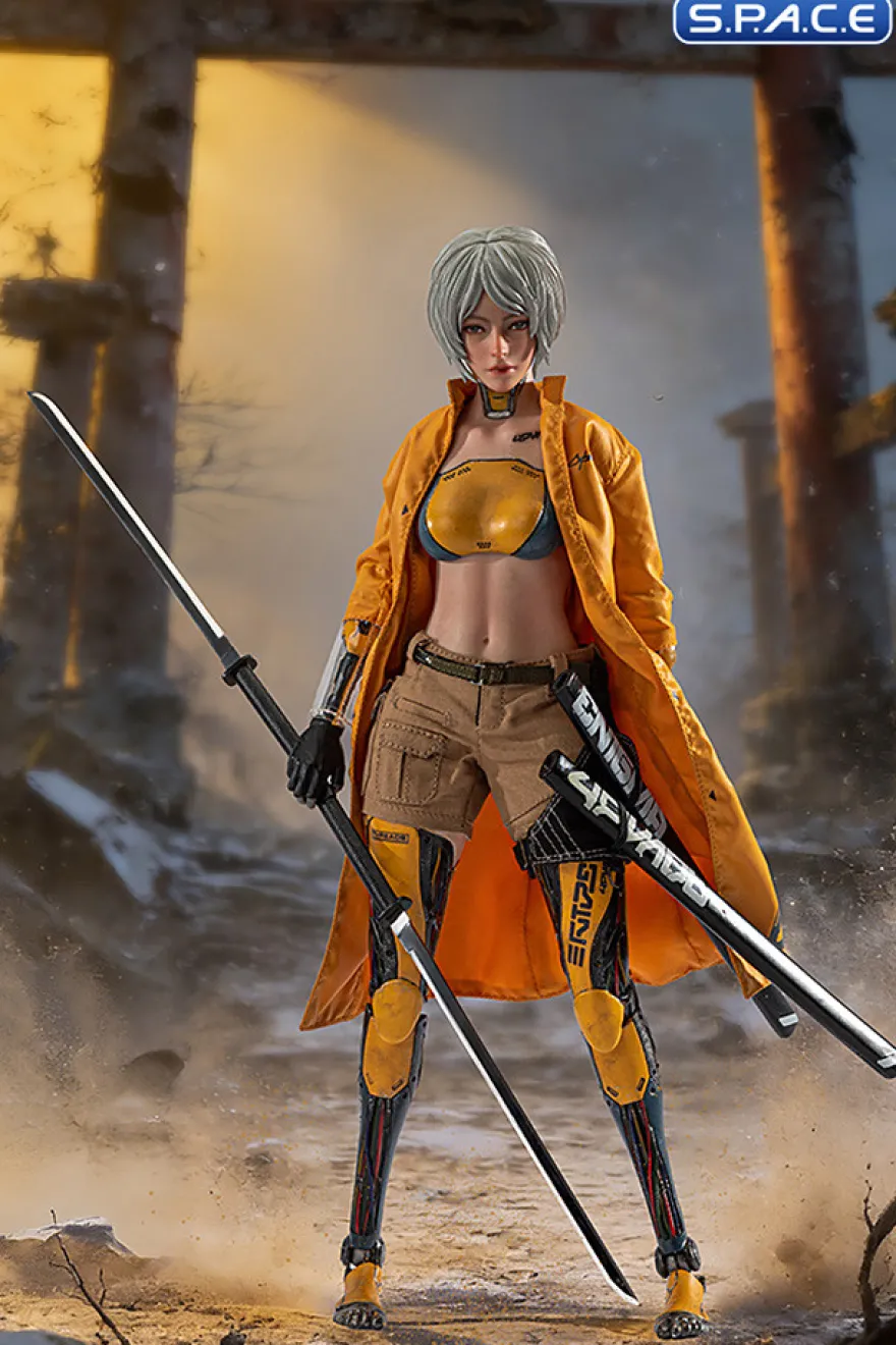 1/6 Scale Android Bill - white hair Version