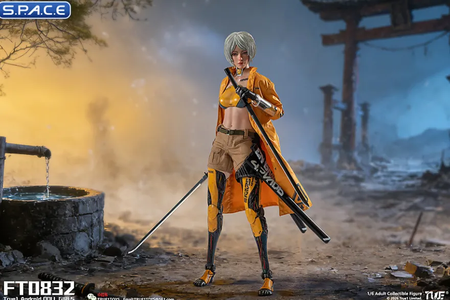 1/6 Scale Android Bill - white hair Version