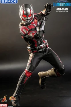 1/6 Scale Ant-Man Movie Masterpiece MMS690