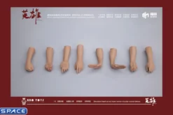 1/6 Scale Arm Set MH2202A