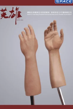 1/6 Scale Arm Set MH2202C