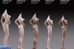 1/6 Scale Asian Girl type Seamless pale Body /