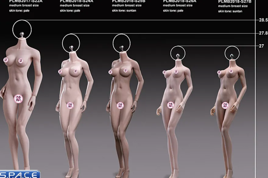 1/6 Scale Asian Girl type Seamless pale Body /