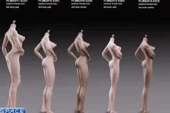 1/6 Scale Asian Girl type Seamless suntan Body /