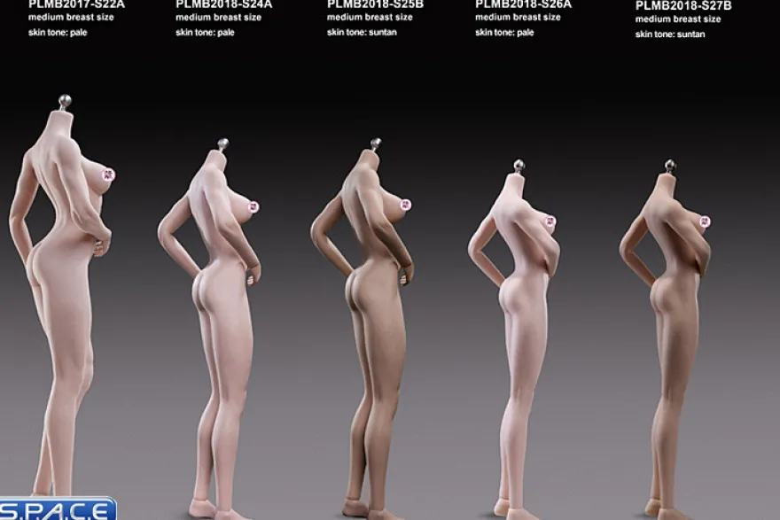 1/6 Scale Asian Girl type Seamless suntan Body /