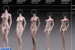 1/6 Scale Asian Girl type Seamless suntan Body /