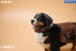 1/6 Scale Bernese Mountain Dog