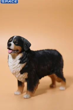 1/6 Scale Bernese Mountain Dog