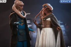 1/6 Scale Bib Fortuna Scum & Villainy