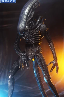 1/4 Scale Big Chap Alien