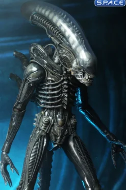 1/4 Scale Big Chap Alien