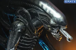 1/4 Scale Big Chap Alien