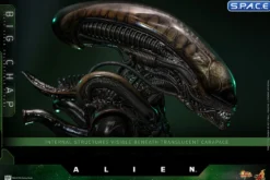 1/6 Scale Big Chap Alien Movie Masterpiece MMS826