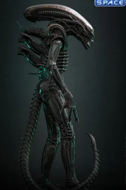 1/6 Scale Big Chap Alien Movie Masterpiece MMS826