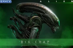 1/6 Scale Big Chap Alien Movie Masterpiece MMS826