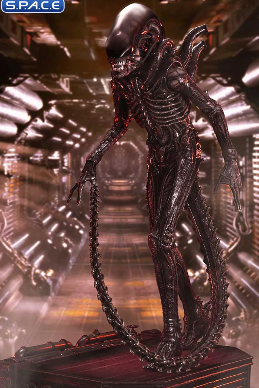 1/3 Scale Big Chap Xenomorph Museum Masterline XL Statue