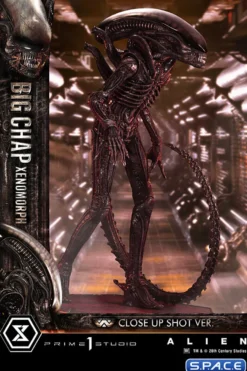 1/3 Scale Big Chap Xenomorph Museum Masterline XL Statue