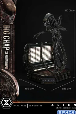 1/3 Scale Big Chap Xenomorph Museum Masterline XL Statue