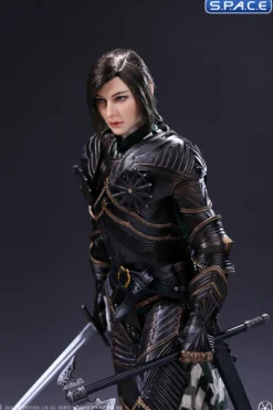 1/6 Scale Black Armored Guard