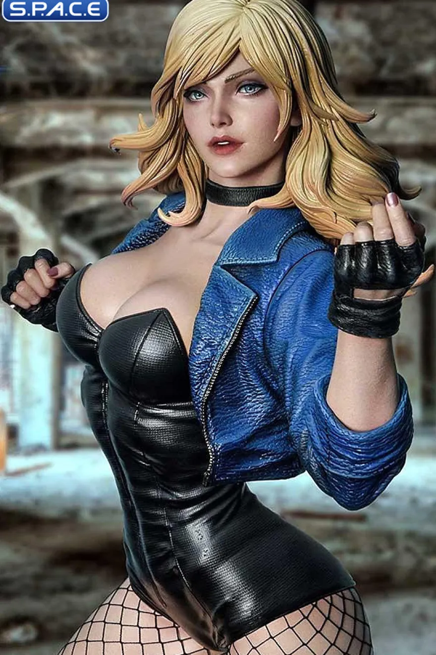 1/3 Scale Black Canary Museum Masterline Statue