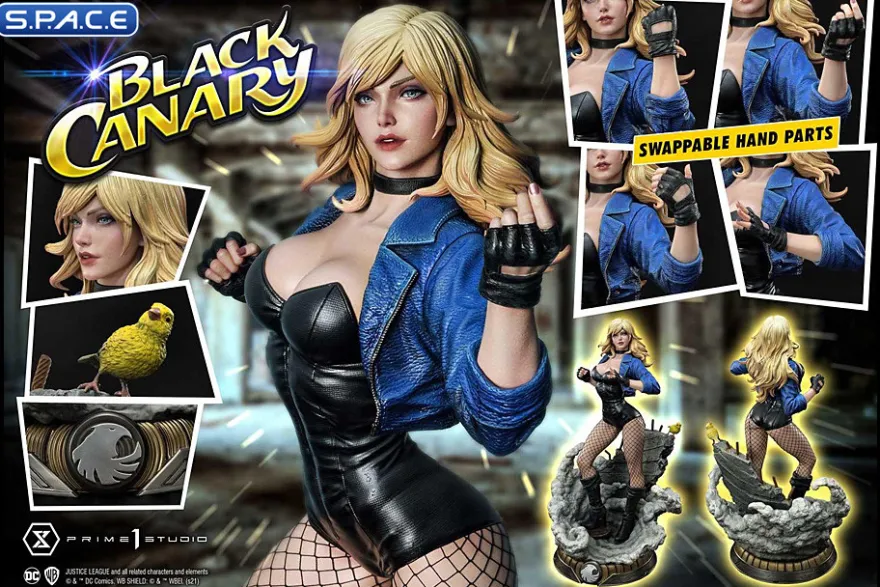 1/3 Scale Black Canary Museum Masterline Statue